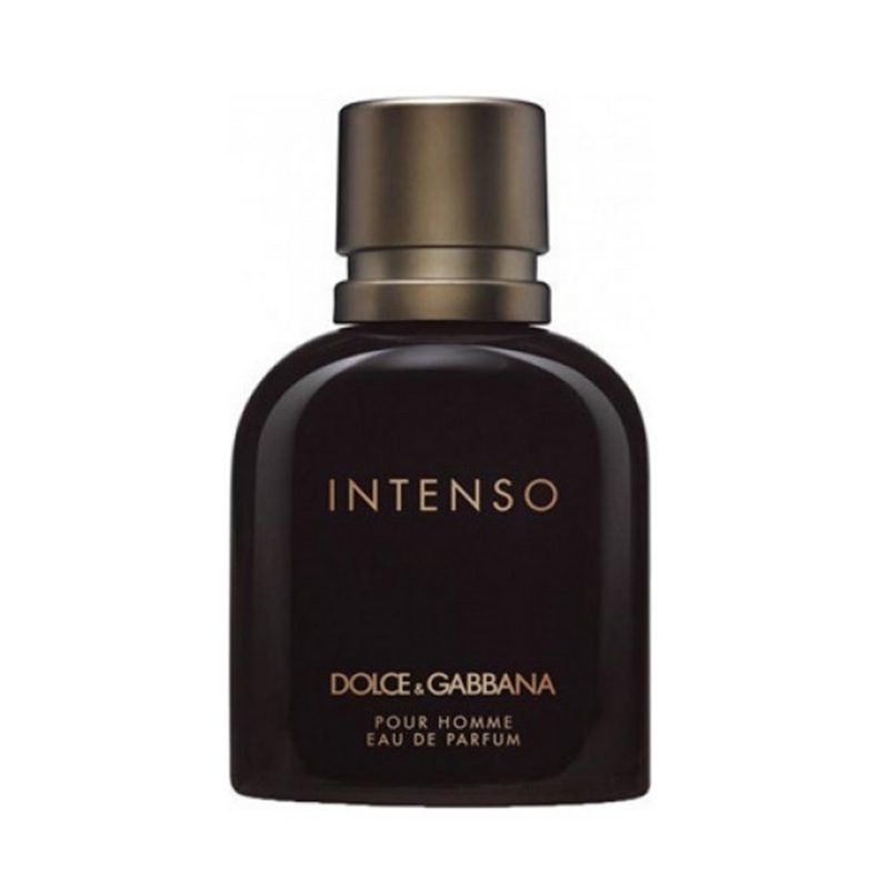 contratipo dolce & gabbana pour homme intense